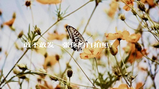 敢不敢发一张你的自拍照？