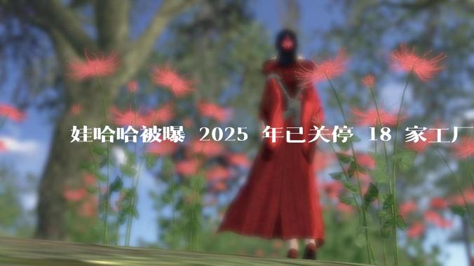 娃哈哈被曝 2025 年已关停 18 家工厂，此前曾回应纯净水由今麦郎代工，娃哈哈到底在布局什么？