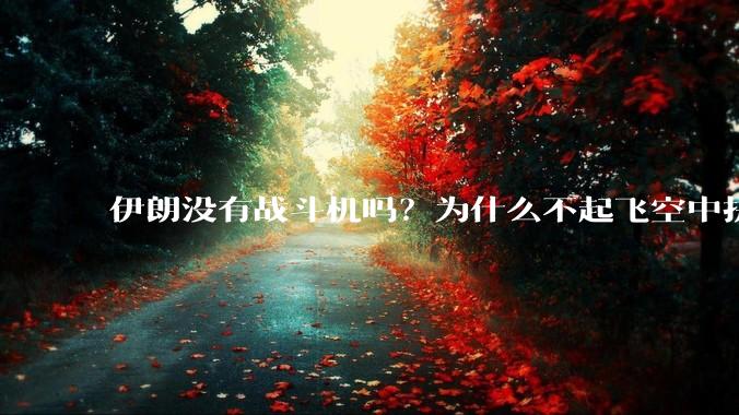 伊朗没有战斗机吗？为什么不起飞空中拼***？
