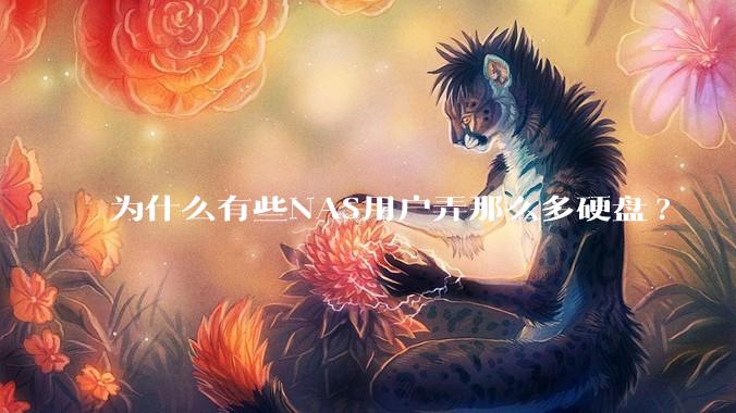 为什么有些NAS用户弄那么多硬盘?