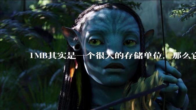 1MB其实是一个很大的存储单位，那么它的存储容量究竟有多大？